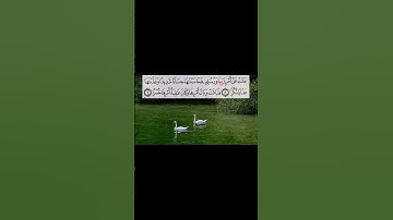 #تلاوة_خاشعة #القران_الكريم #اكسبلور #duet #لايك #راحة_نفسية #راحه_نفسيه #دويتو #unfrezzmyaccount