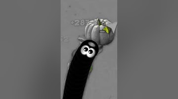 Worms Zone .io - Hungry Snake/wormate.io/slither.io #short video