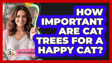 How Important Are Cat Trees For A Happy Cat? - Happy Cat Handbook