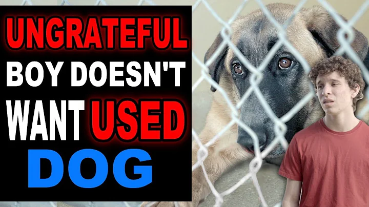 UNGRATEFUL Boy Doesn't Want USED DOG, What Happens Is Shocking - DayDayNews