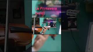 La Primavera de Vivaldi (Solo) - Violín: José María Melgar #violin #musicos #musica #music