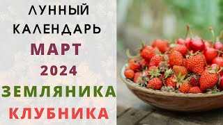 ЗЕМЛЯНИКА: Лунный Календарь МАРТ 2024! Когда сеять семена клубники / земляники на рассаду?