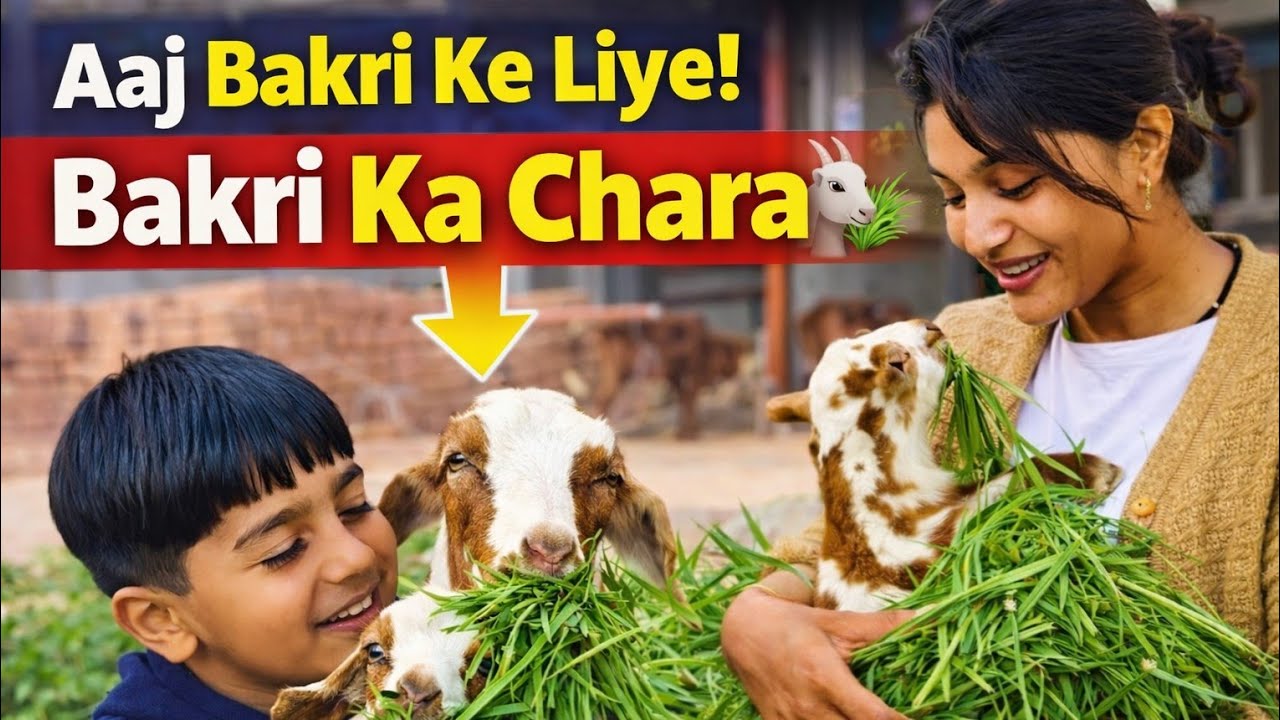 Aaj Bakri Ke Liye 🐐🌿 | Real Family Vlog Anika vlogs 