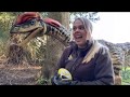 Dinoskole live fra Knuthenborg Safaripark 11: Dilophosaurus og lama