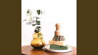 Modish Rejuvenation