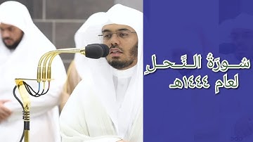 المصحف الصوتي والمرئي للحرم المكي من صلاتي التراويح والتهجد لعام 1444هـ | سورة النحل