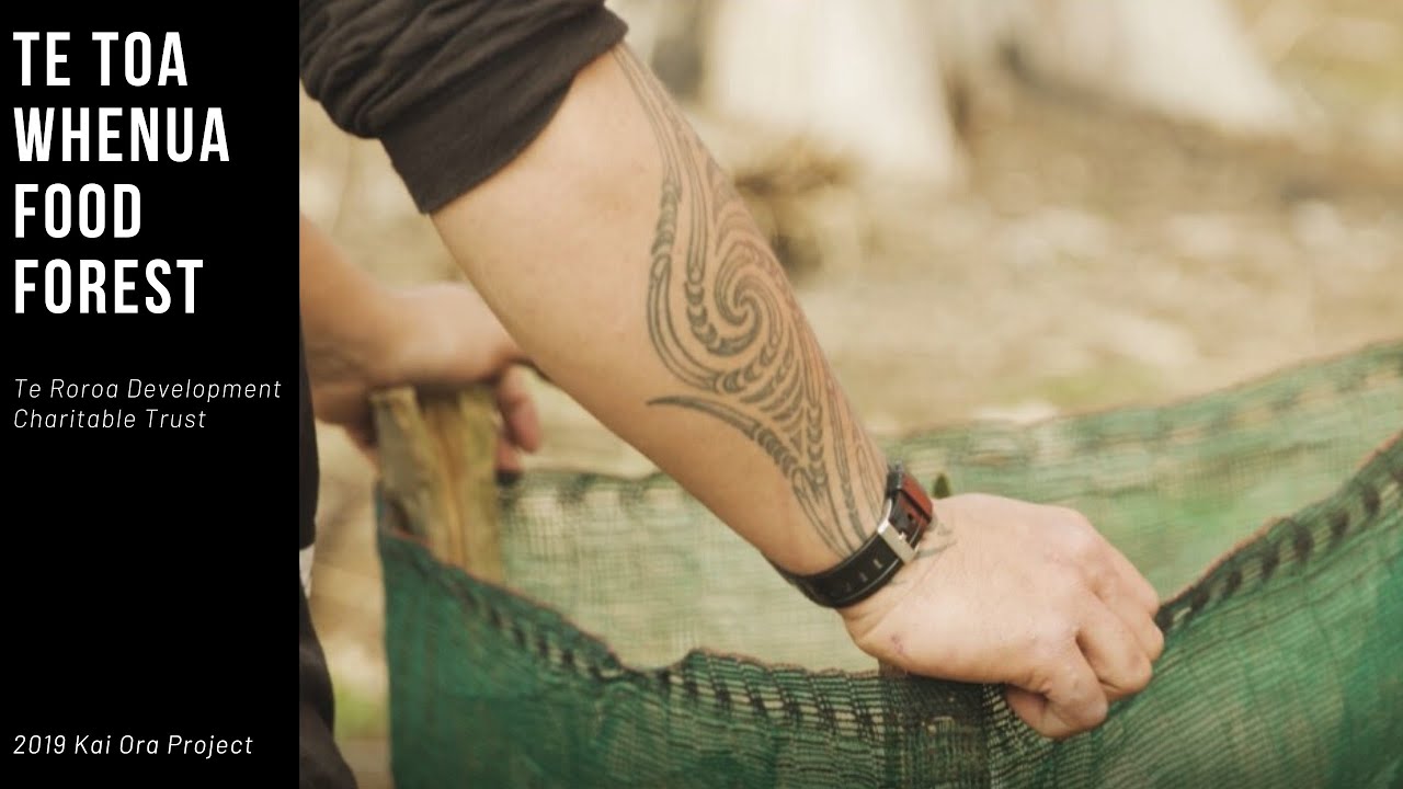 The Kai Ora Fund - Te Toa Whenua Food Forest