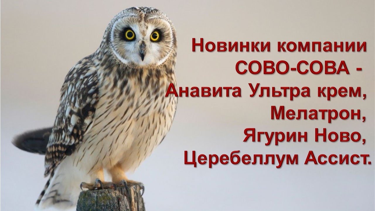 Новинки компании СОВО-СОВА | Анавита Ультра крем, Мелатрон, Ягурин Ново ...