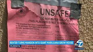 Renter converted Murrieta home into marijuana grow house, destroyed interior, owner says