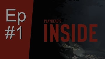 Inside Part 1 The Forest and The Farm