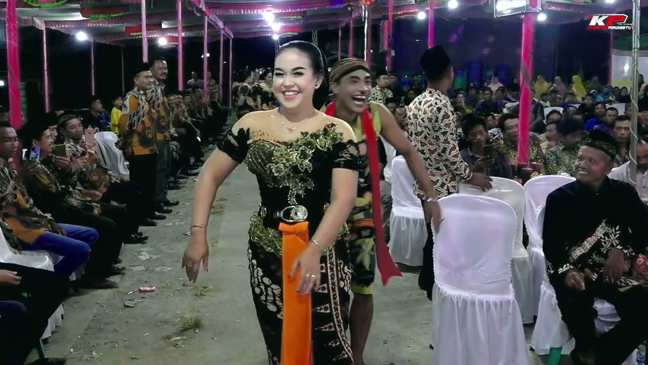 PARDI KUCING BORONG LEDEK  SELUSIN