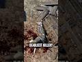 Who's Skyrim's Deadliest Killer?