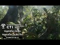 Tropical Forest Pack Unity asset