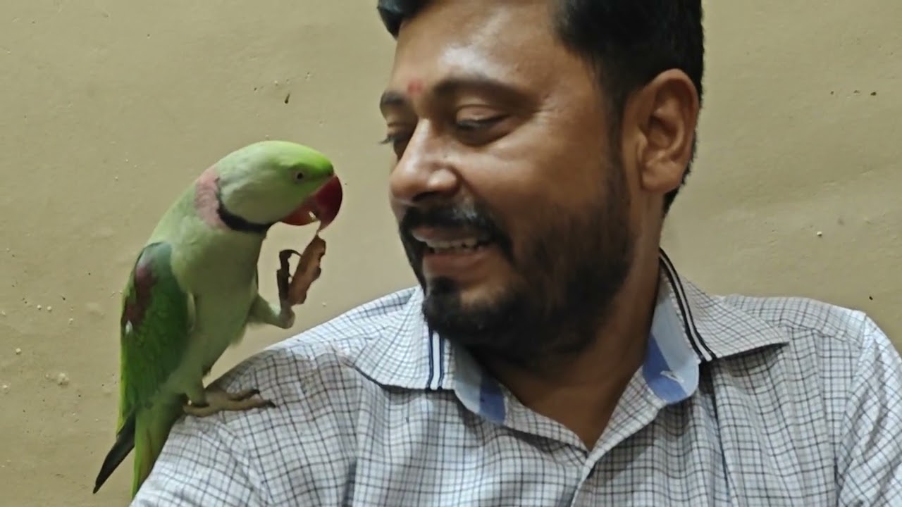 Mitthu or papa ka pyaar 