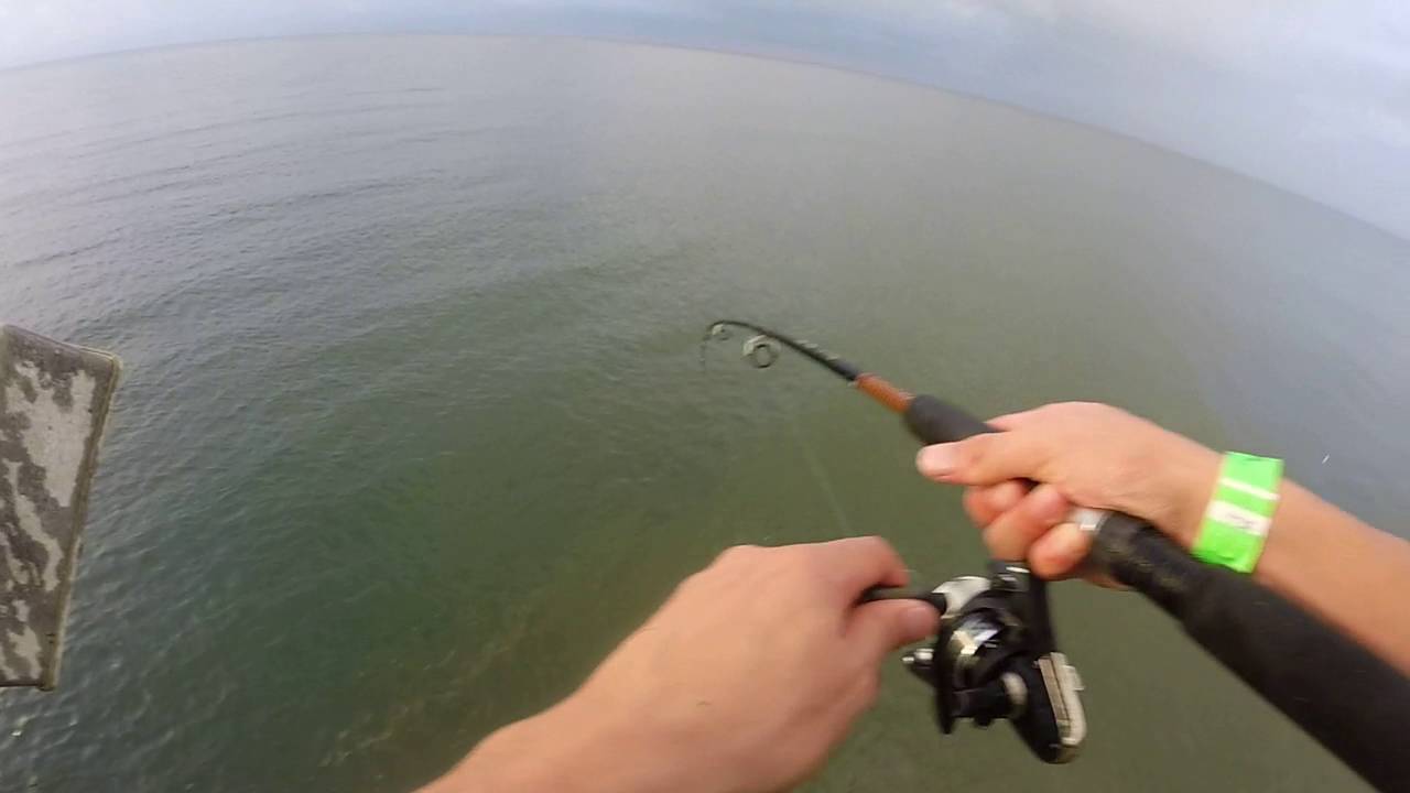 Spanish Mackerel Fishing Galveston, TX June 30, 2016 YouTube
