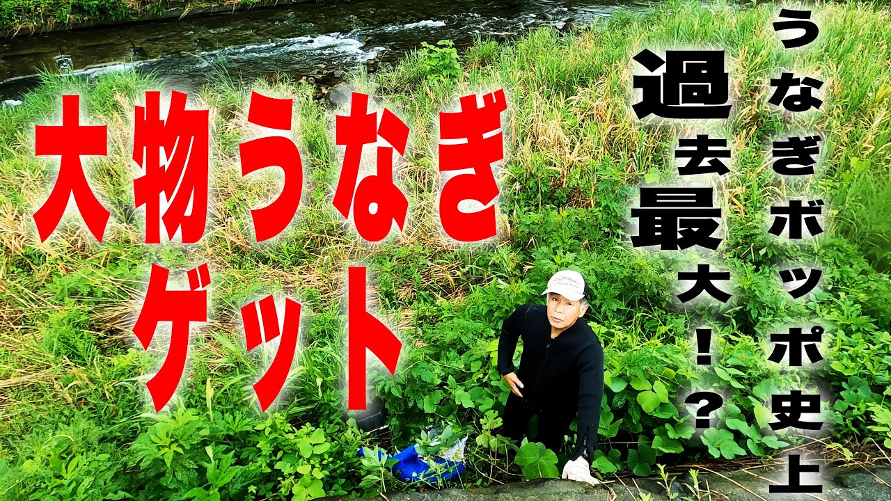 【未開の地！】巨大うなぎ捕獲の巻