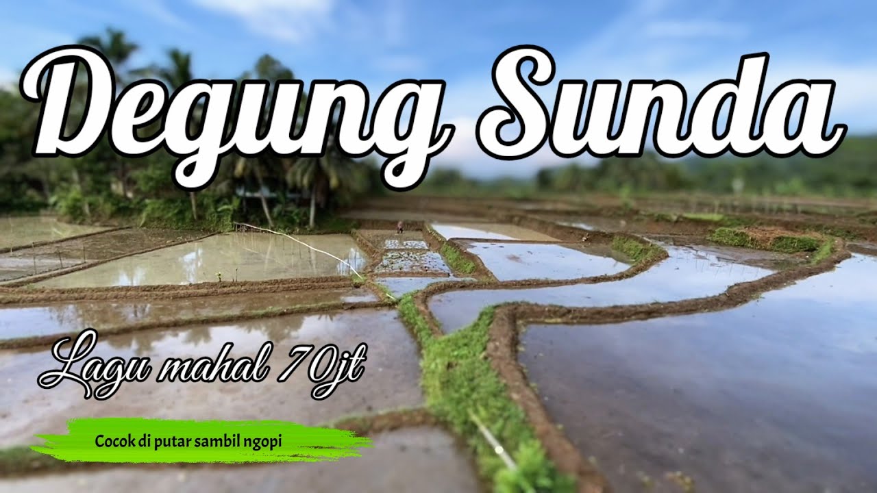 Degung Sunda Pernikahan Cocok diputar Sambil Ngopi di sawah yang baru selesai di cangkul 