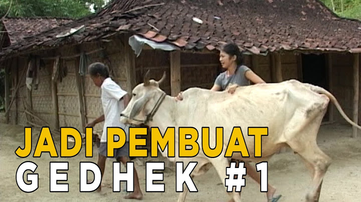 Betapa sulitnya mengurus sapi ini | JIKA AKU MENJADI
