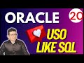 USO Operador LIKE y busqueda de patrones SQL Para Todos 12c, 19c, 20c 21c Curso en Español