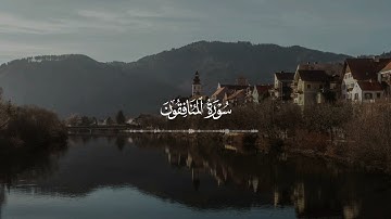 سورة المنافقون كامله بصوت الشيخ محمد ايوب