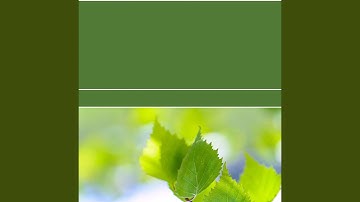 Scintillating Ambiance for Recharging Routines