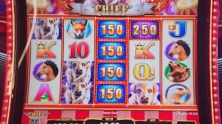 Taking on Jackpot Carnival Chief!