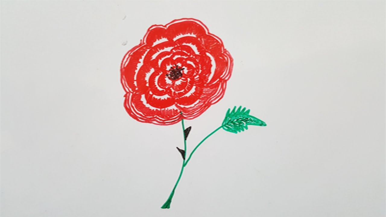 Rose cool easy whiteboard drawing step by step art| How to draw rose on ...