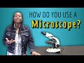 How to Use a Microscope