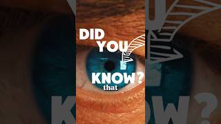 Why Blue-Eyed People See Better in the Dark