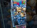 【激しいw】台湾キャッチャー🇹🇼で寄せ寄せぬいぐるみゲットwww