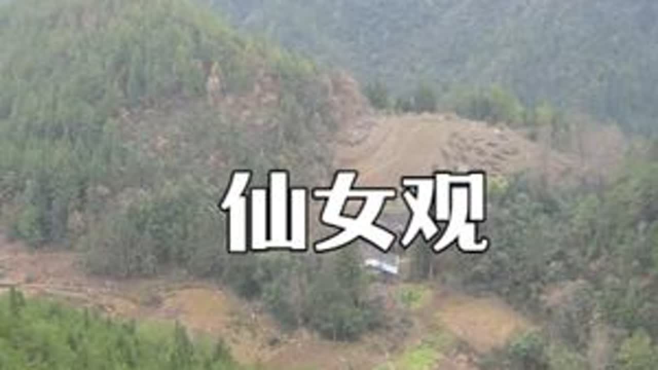 地里种满了庄稼，却不养一只牲畜，叔叔一个人的乡村生活 #大山里的原生态 #乡村生活