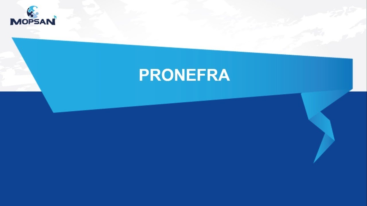 Mopsan / Virbac - Kedi ve Köpeklerde Kronik Böbrek Hastalıklarında Pronefra