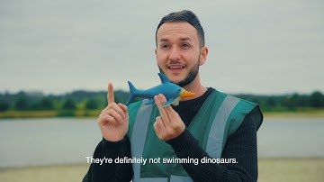 Discover the #RutlandSeaDragon