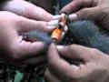 Making Fire with Batteries