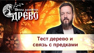 Тест дерево и связь с предками