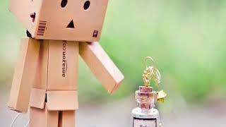 Boneka Danbo ~piker keri