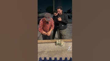 How to play street dice 🎲