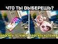 А ЧТО БЫ ВЫБРАЛИ ВЫ? ВИДЕО ТЕСТ ЛИЧНОСТИ