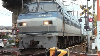 【山陽本線】JR貨物　EF66-126号機牽引　5071レ貨物列車
