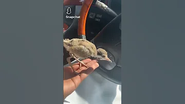 حد مصدع ولا انا بروحي 