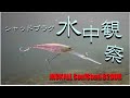 水中観察～JACKALL SoulShad 62DDR
