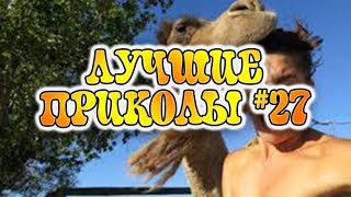 ЛУЧШИЕ ПРИКОЛЫ. Подборка новых приколов. Самое смешное видео. МАЙ #27 2017