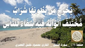 274 الصفحة   القرآن الكريم   سورة النحل   بصوت الحصري