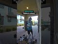 Delivery Driver Stops Working