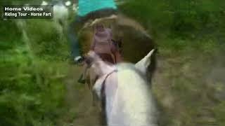 Riding Tour - Horse Fart Nr.1