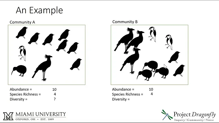 Abundance, species richness, and diversity - 天天要聞