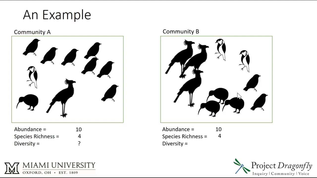 Abundance, Species Richness, And Diversity