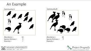 Abundance, species richness, and diversity