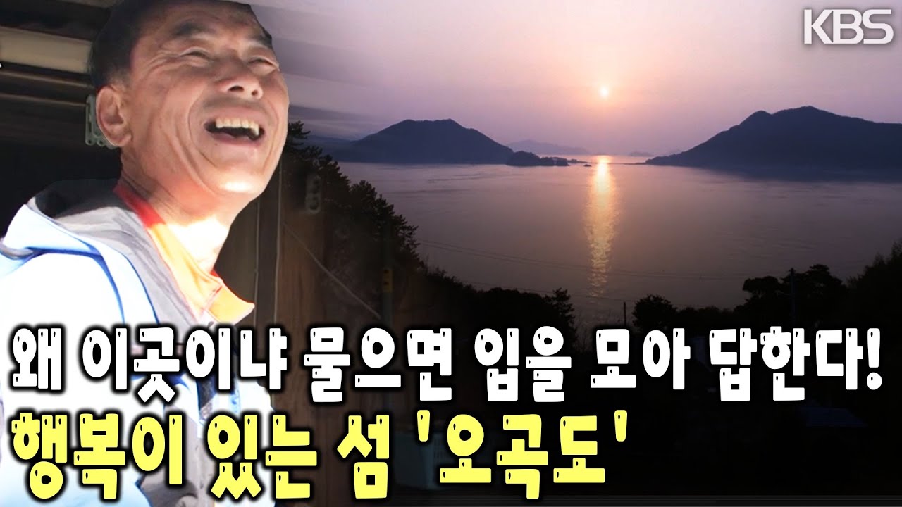 오지 중의 오지 오곡도! 고립된 섬이지만 결코 고독하지 않다는 오곡도 주민들의 삶을 만난다! [KBS 20230331 방송]