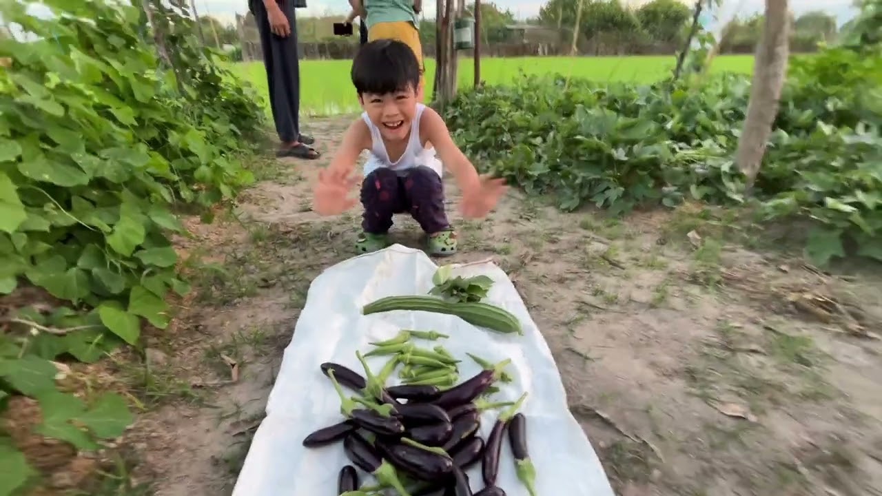 MALAWAK NA BUKID SA FARM NI LOLO #buhayprobinsya  #prettygemgutz 